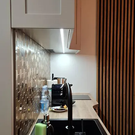 公寓 Gold Cubus Nest 华沙